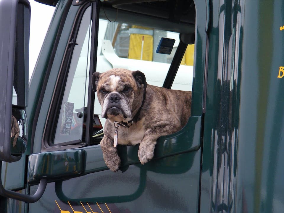 Solved! How Do You Get Poop out Of Cloth Car Seats?