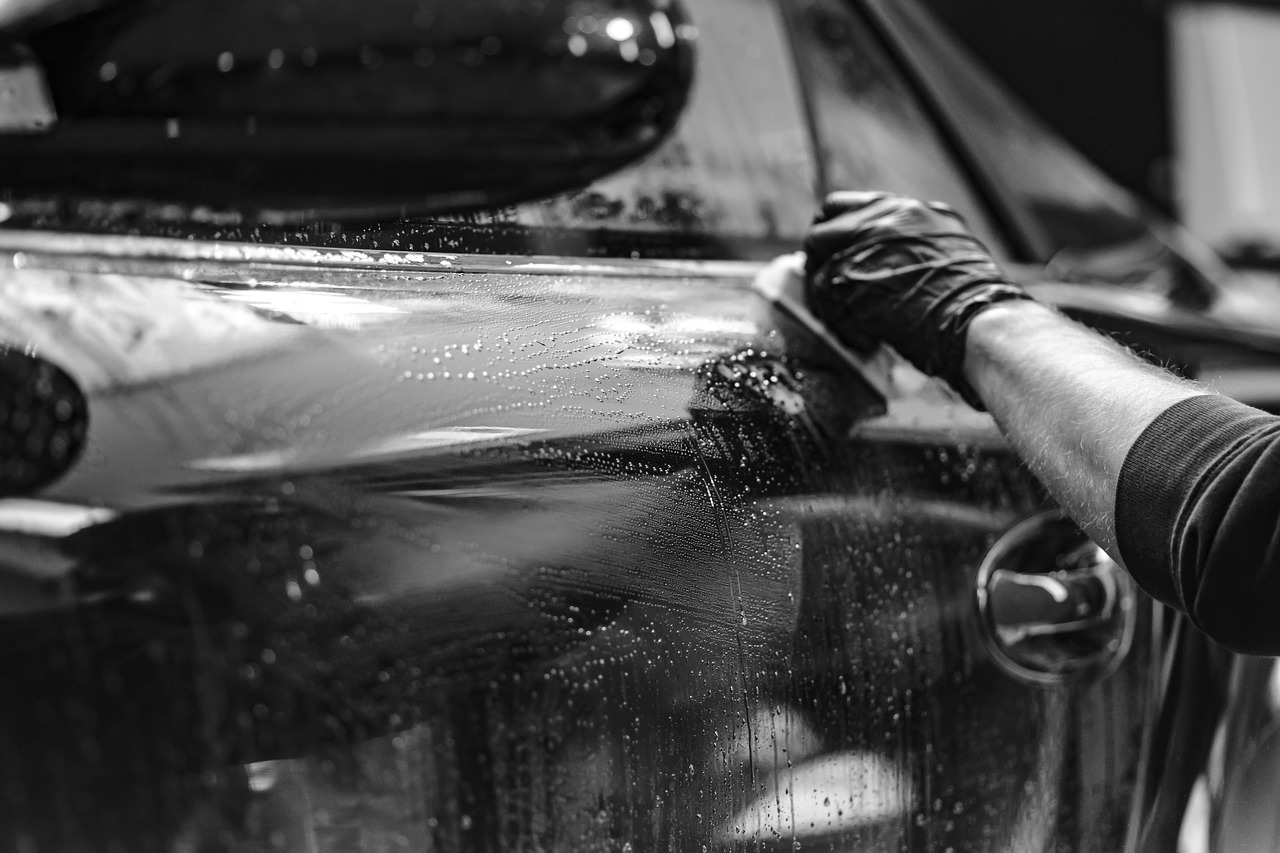 5 Safe Ways to Remove Bird Poop on Car